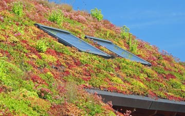 Kynaston living roof systems